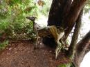 Wooden Deer on Trail Monteque Bay Sept 2014: British Columbia, September 2014